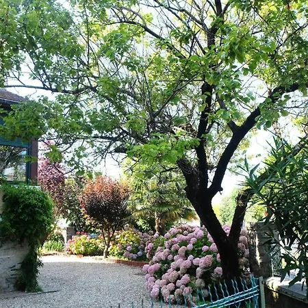 Appartement T3 Cosy Avec Balcon Proche Du Centre *